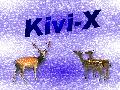 Kivi-X picture 12